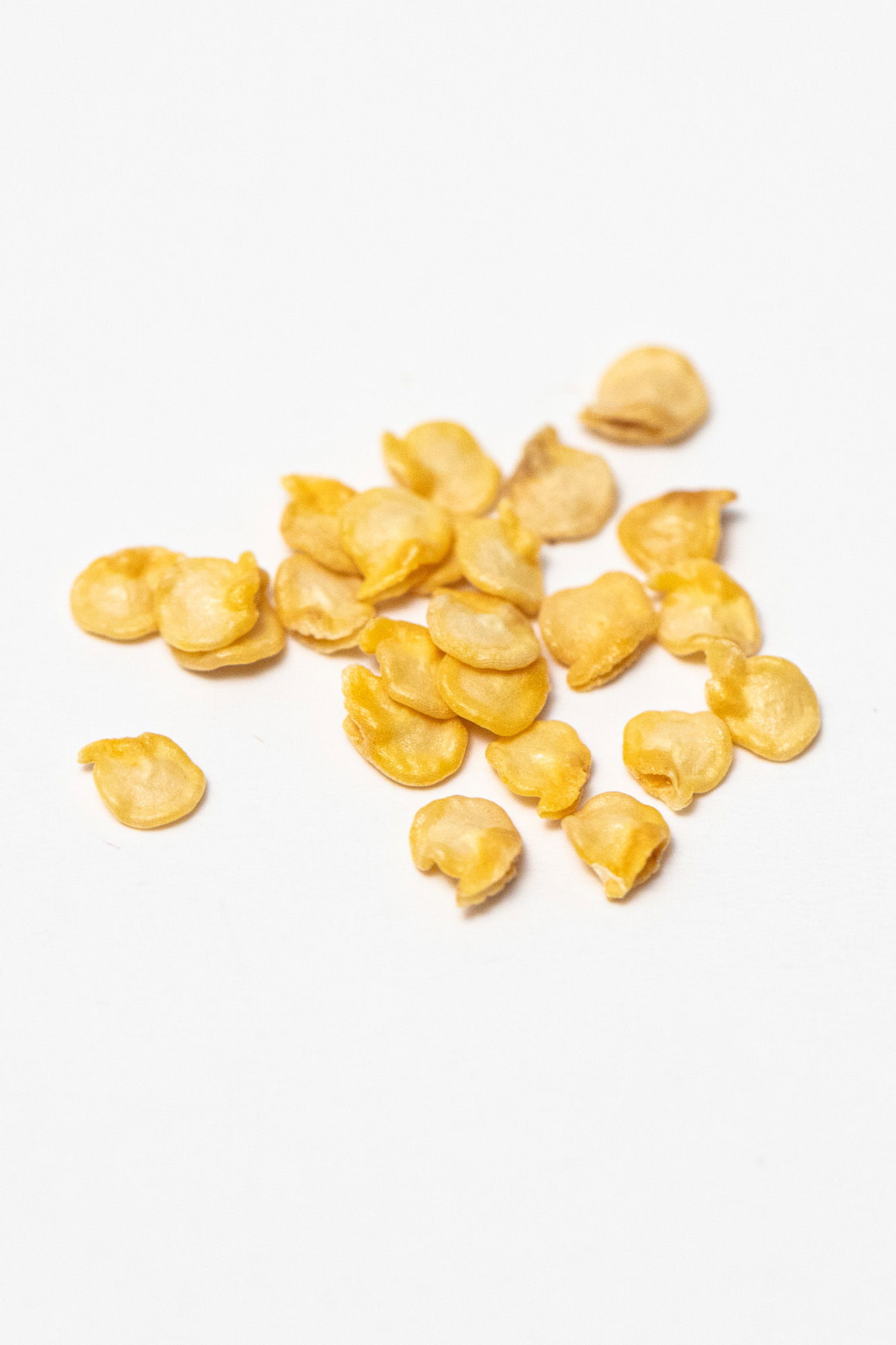 Bhut jolokia seeds