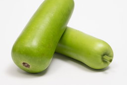 Two dudhi fruits, stacked.