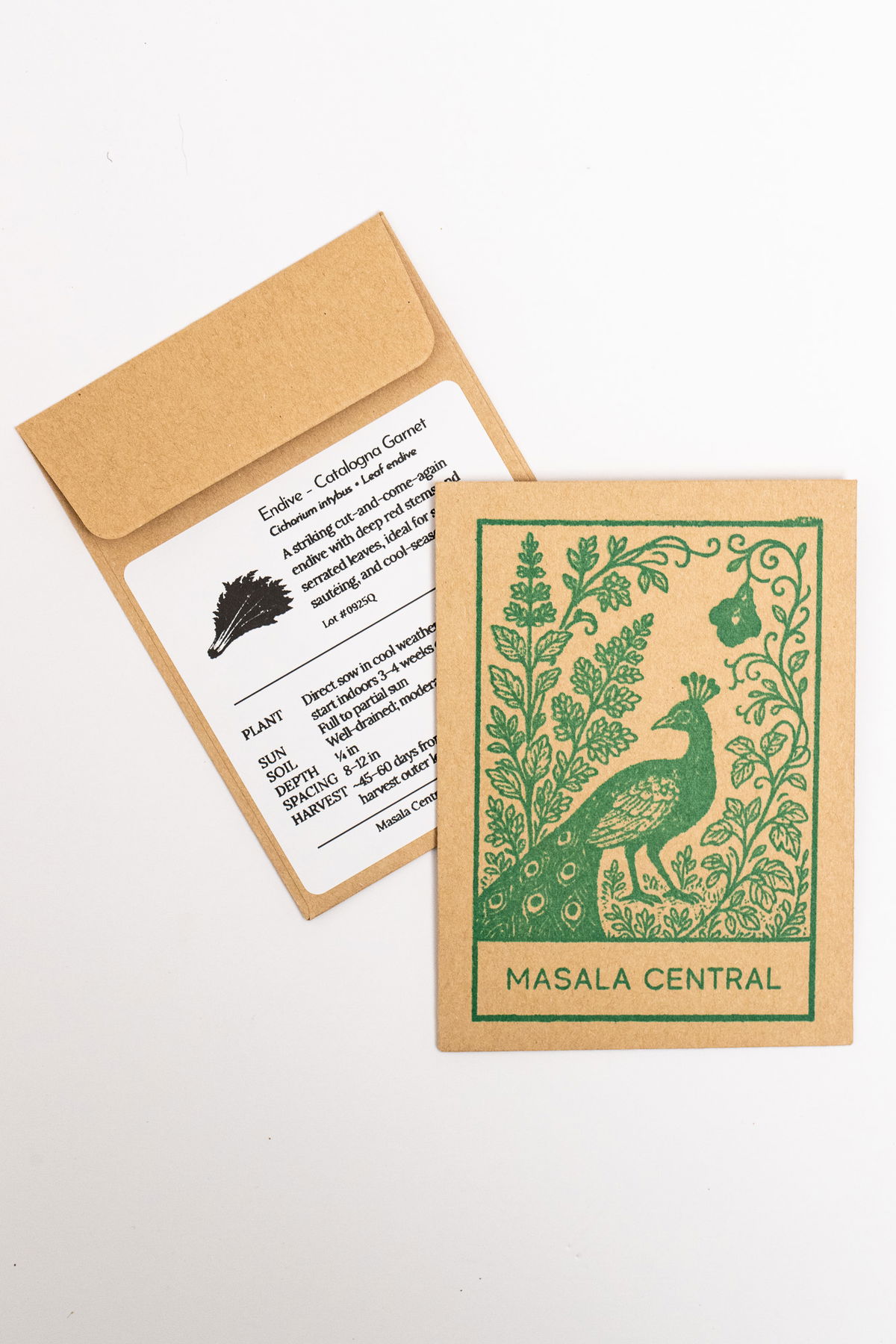 Catalogna garnet endive seed packets