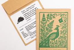 Catalogna garnet endive seed packets