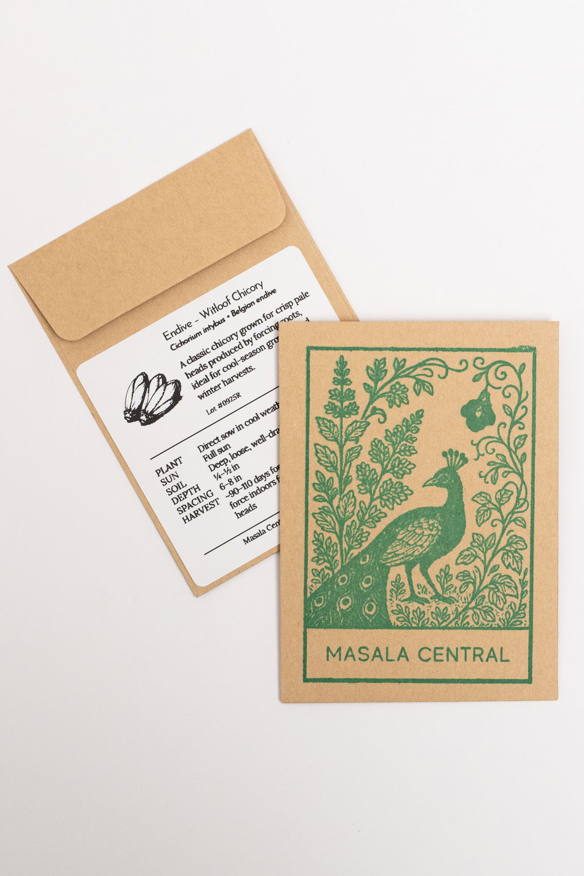 Witloof Endive seed packets