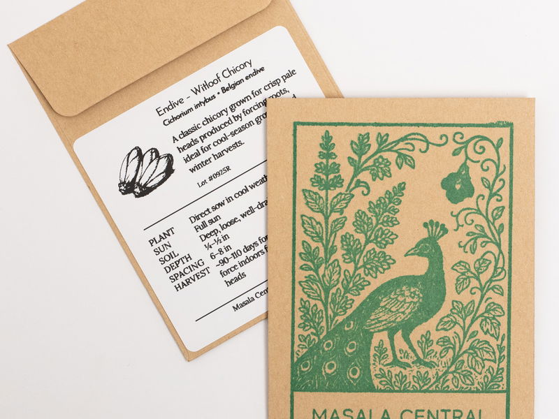 Witloof Chicory (Endive) Seeds