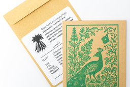 Gajar, Kyoto red, seed packets