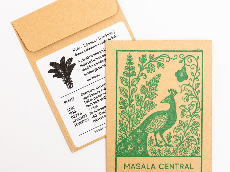 Dinosaur / Lacinato Kale Seeds