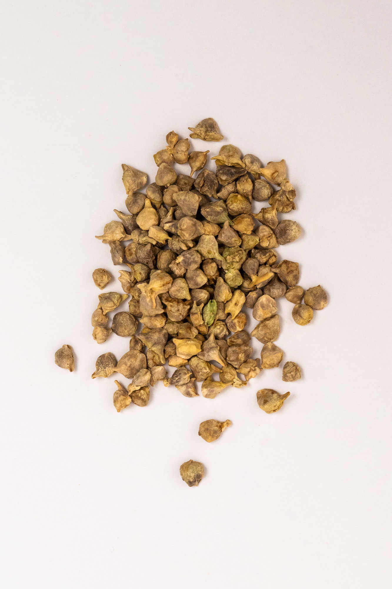 America spinach seeds