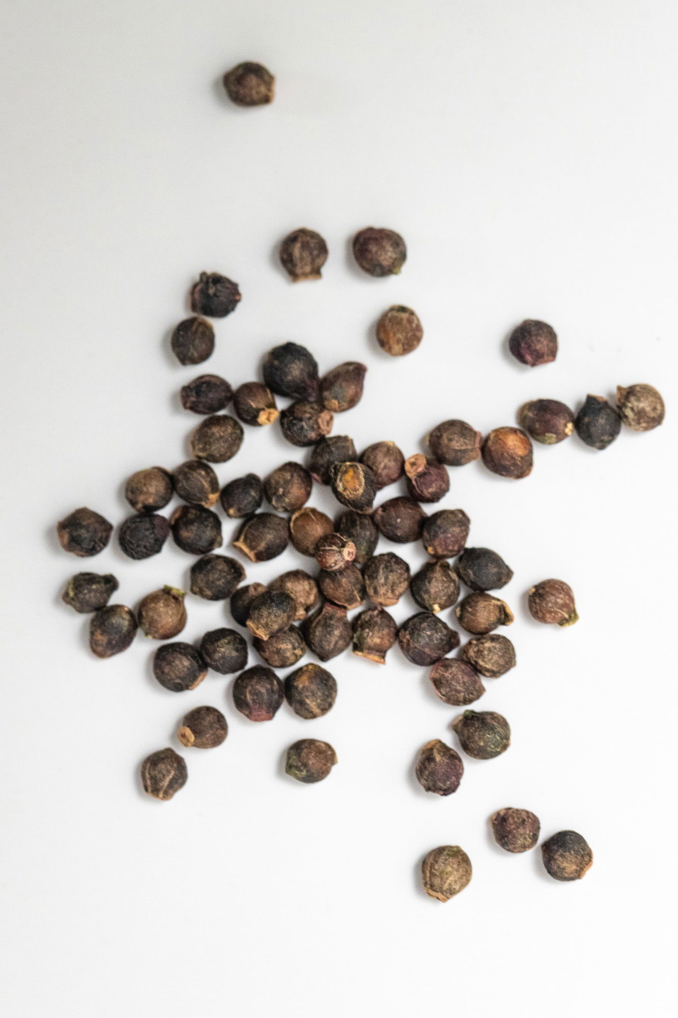 Poi (malabar spinach) seeds