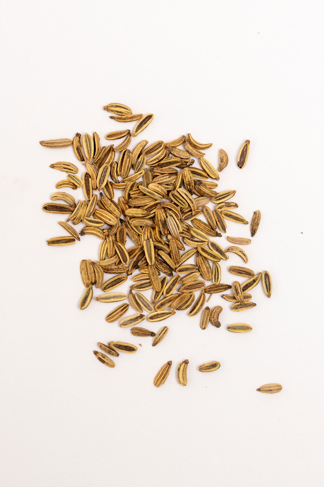 Saunf (fennel) seeds