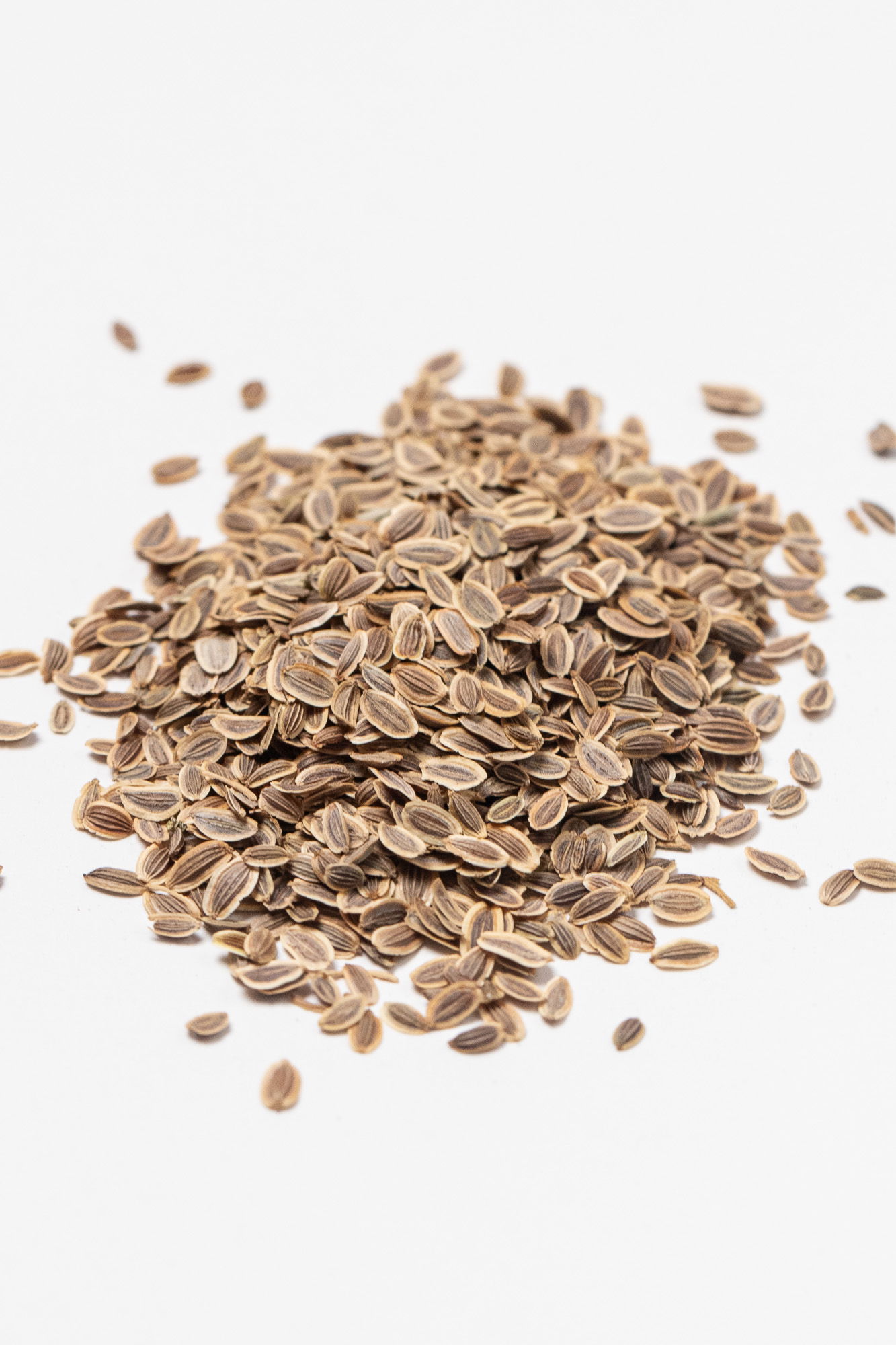 Suva seeds (dill seeds)