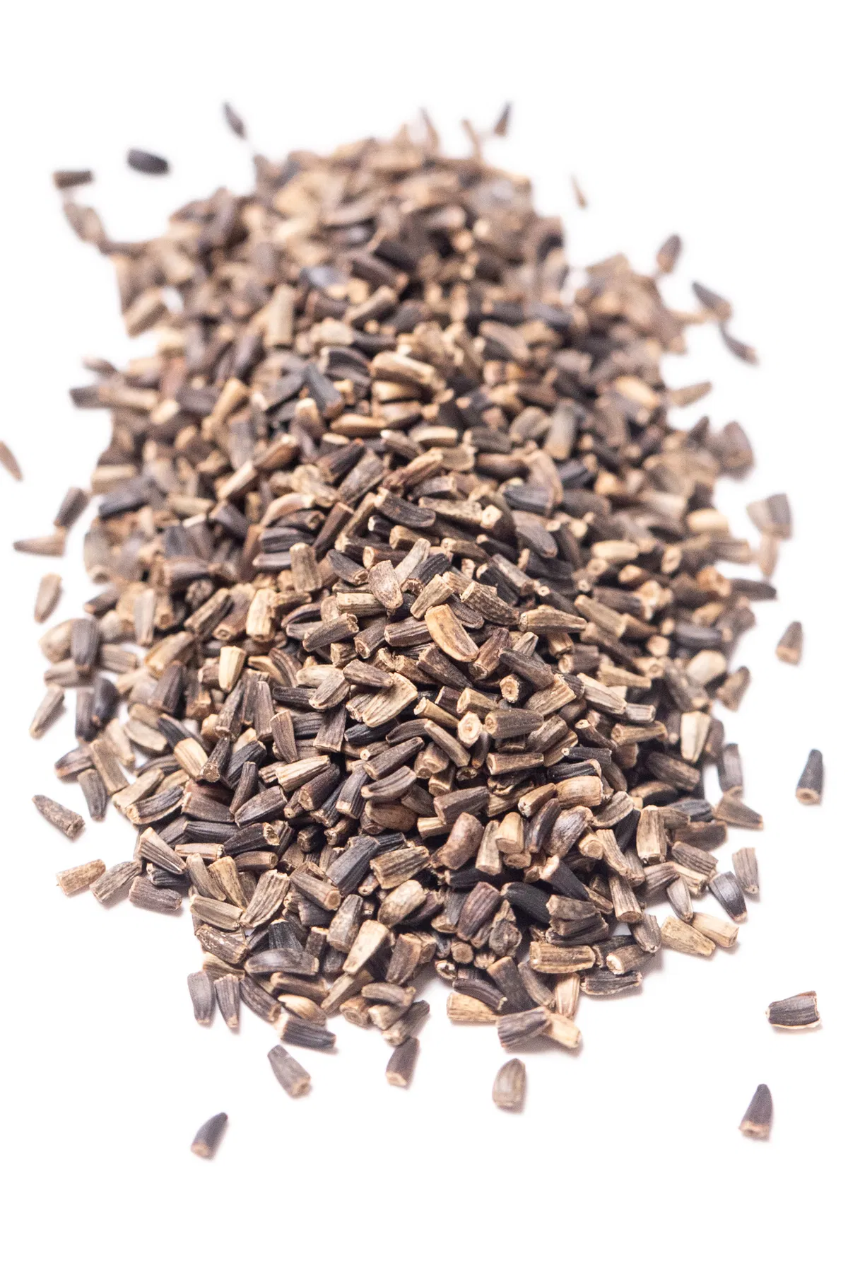 Catalogna garnet endive seeds