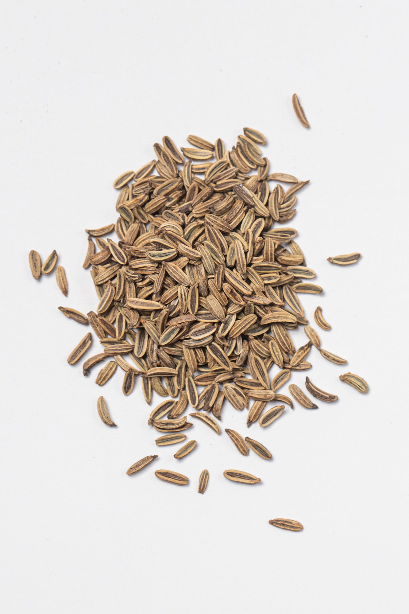 Fennel seeds