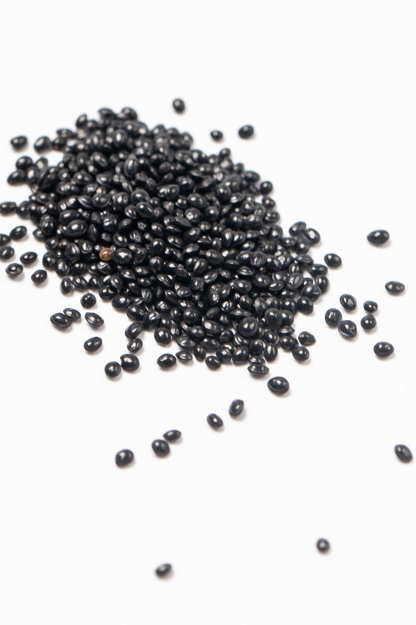 Rajgira, or red leaf amaranth