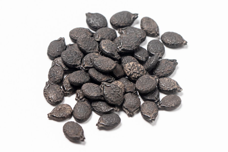 Turiya (ridge gourd) seeds