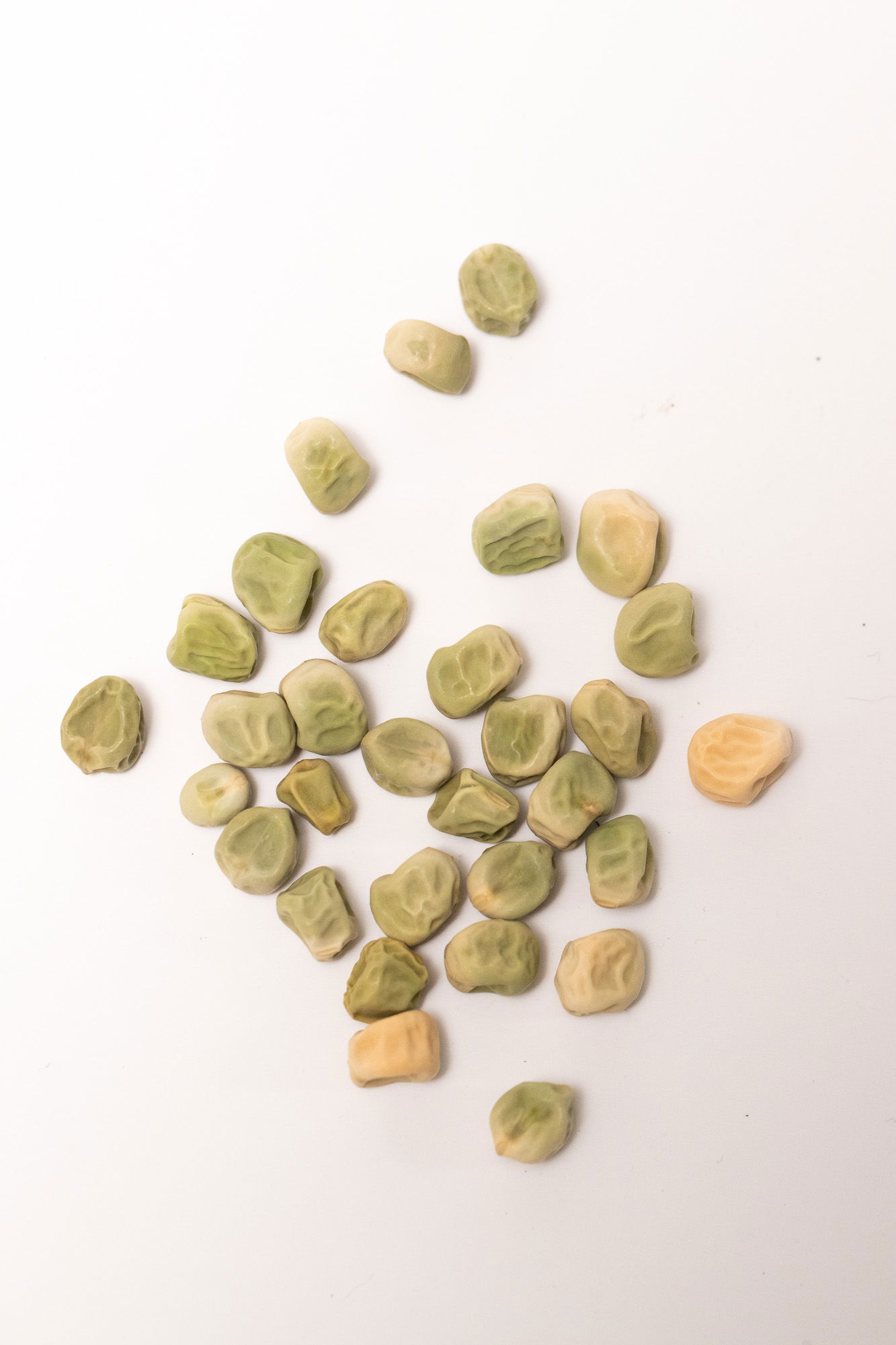 Snap pea seeds