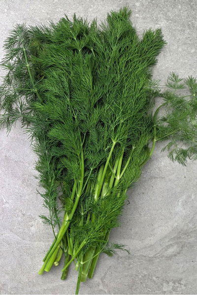 A bunch of dill (suva)