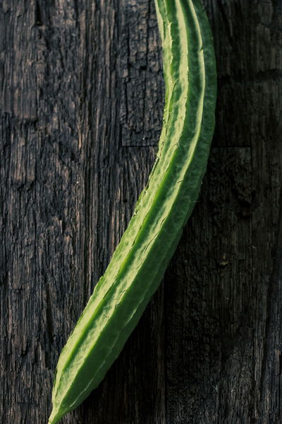 Turiya on a piece of wood