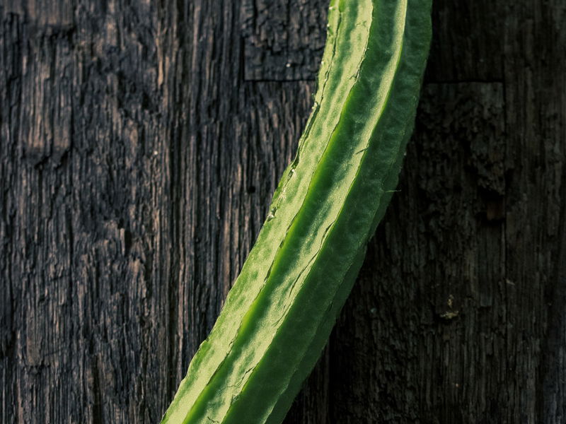 Turiya (Ridge Gourd) Seeds