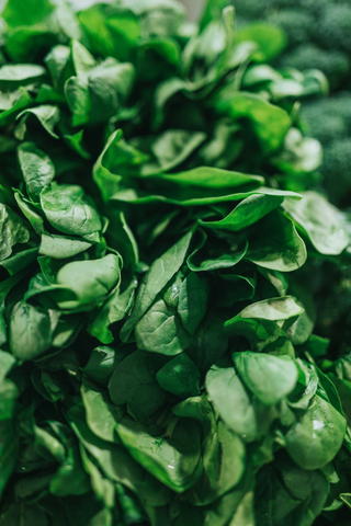 A pile of spinach