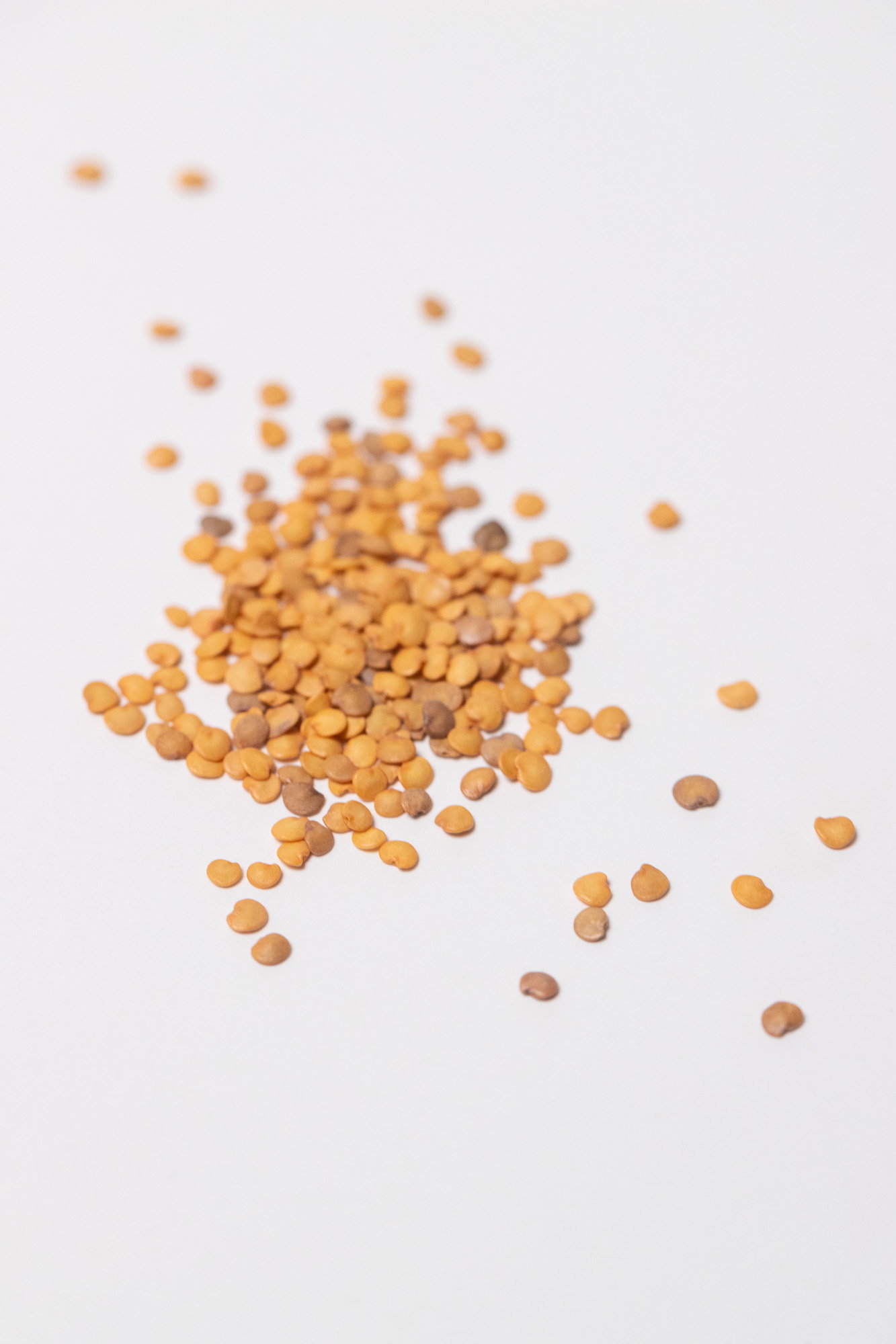 Little finger baingain seeds