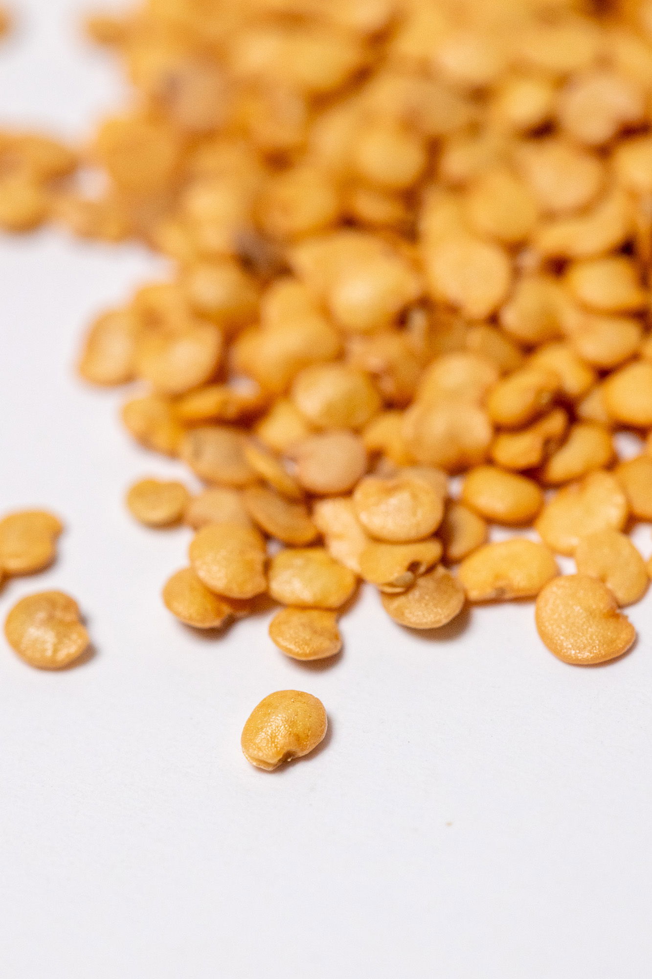 Purple round eggplant seeds.