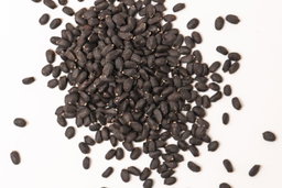 Large leaf basil seeds