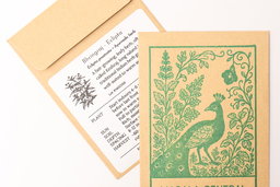 Bhringraj seed packets