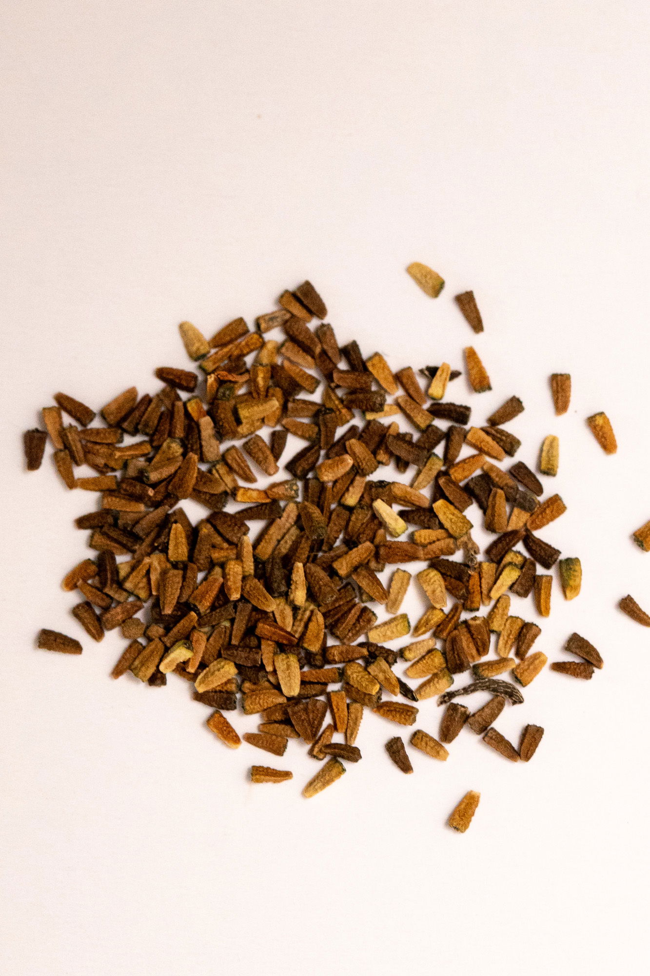 Bhringraj seeds