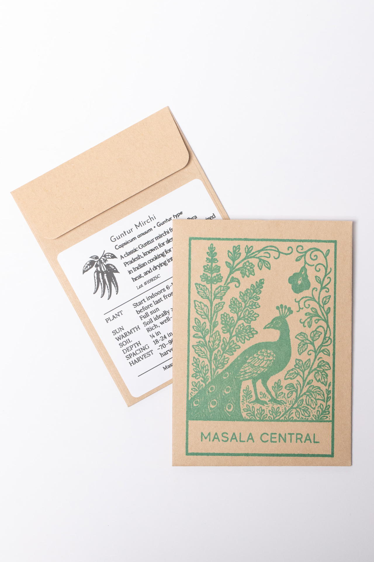 Guntur seed packet