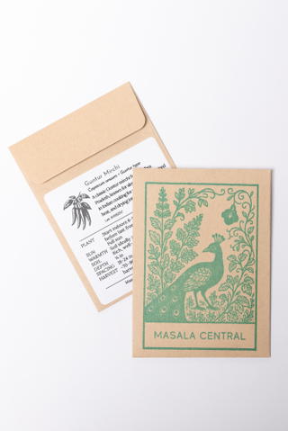 Guntur seed packet