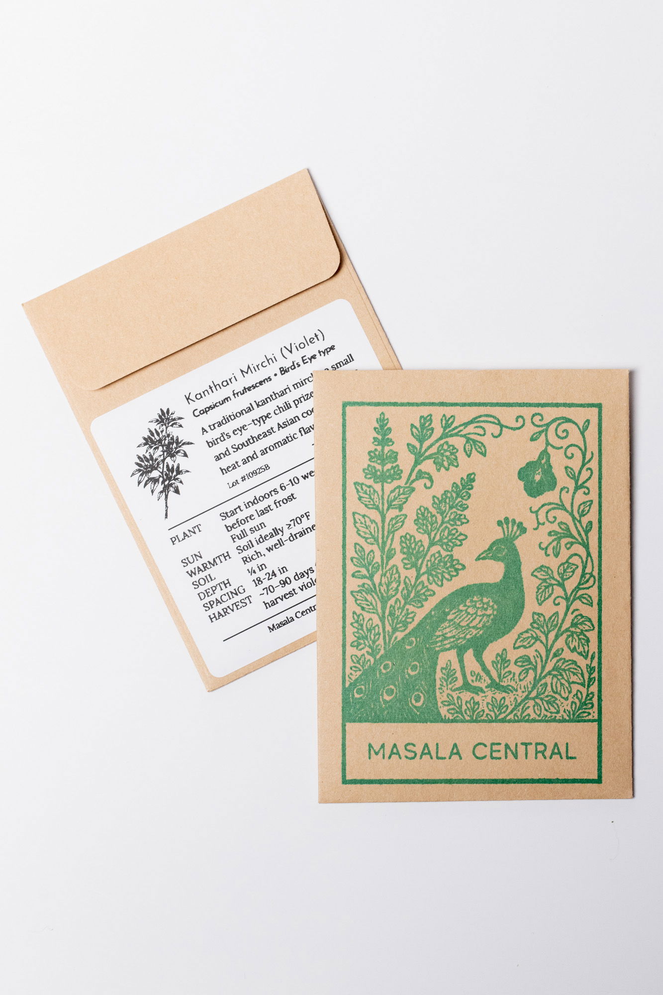 Kanthar chili seed packet (Violet)