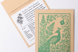 Kanthari chili packet (Green)