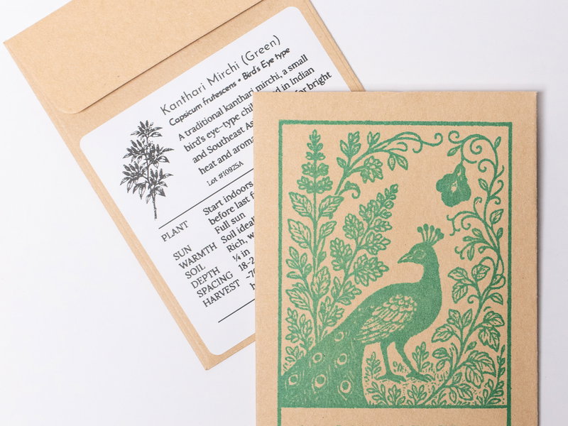 Kanthari Mirchi Seeds