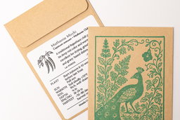 Mathania Mirchi seed packet