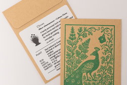 Chives seed packets