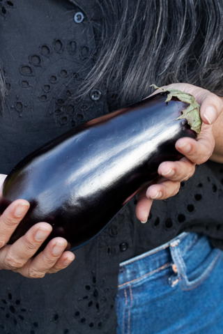 Black beauty eggplant