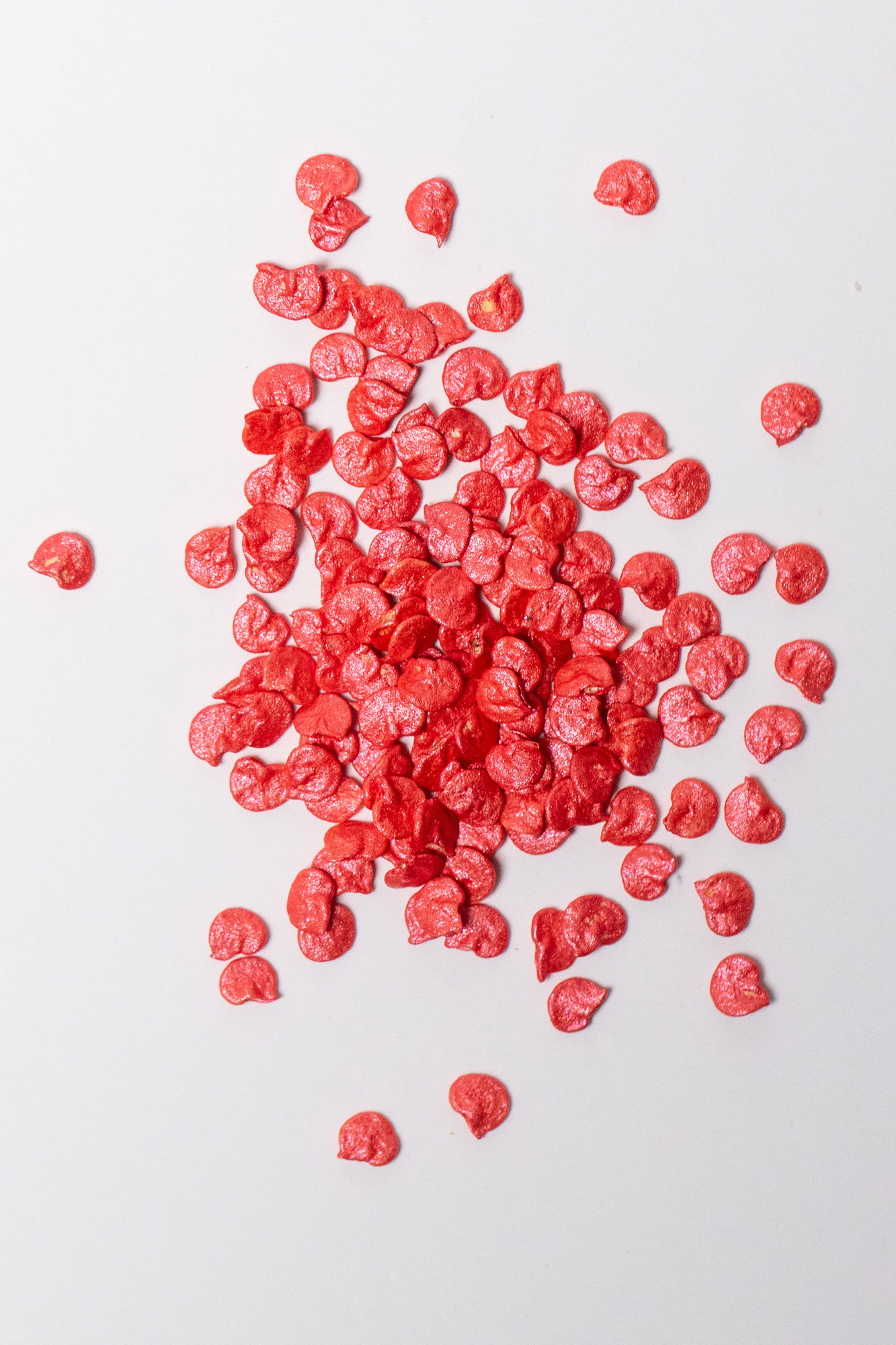 Kashmiri chili seeds