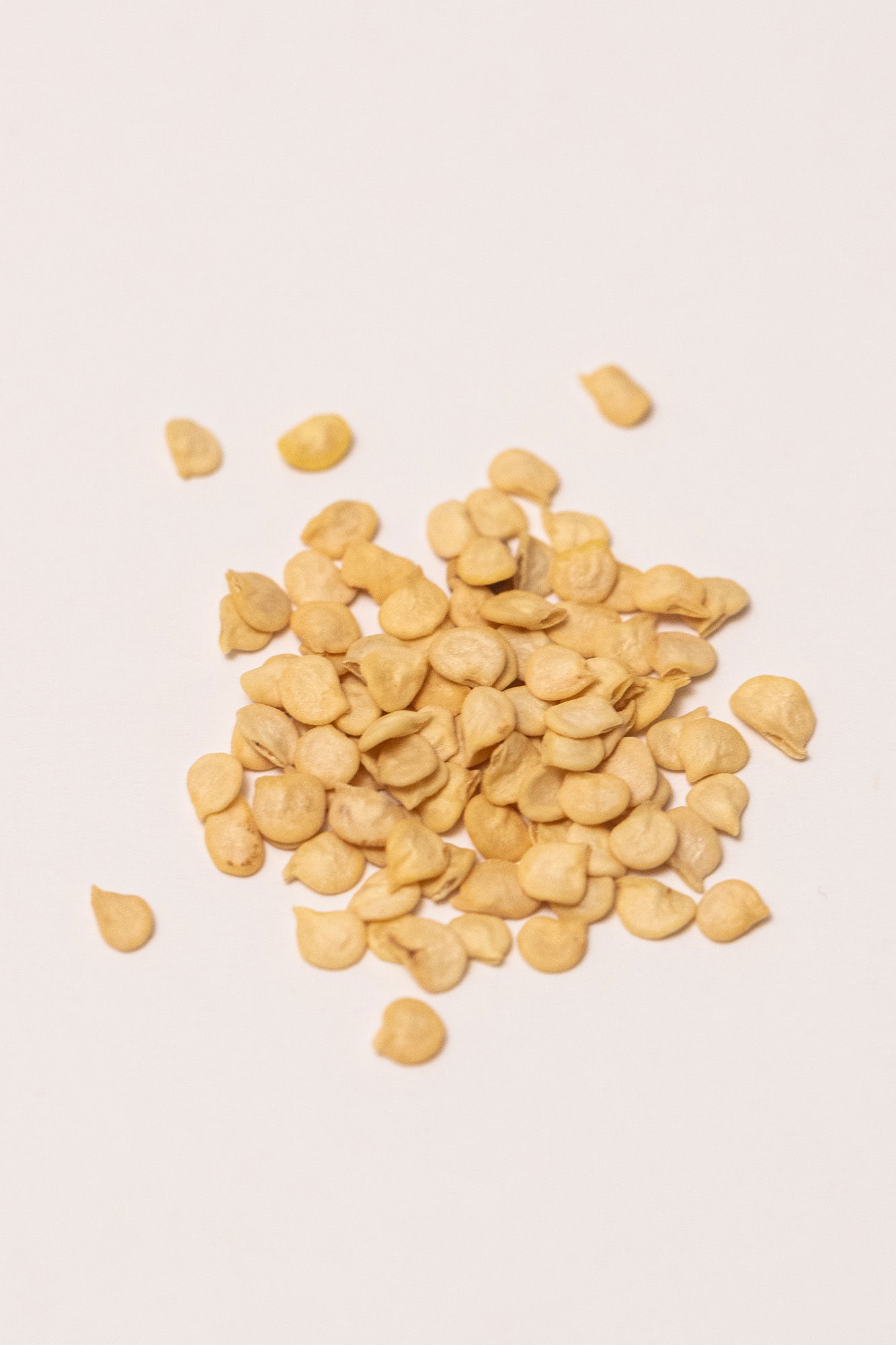 Cayenne pepper seeds