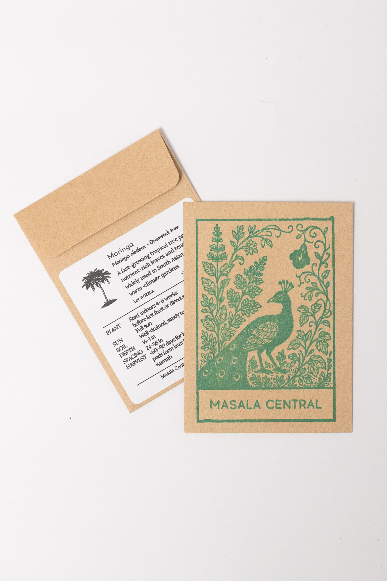 Moringa seed packets
