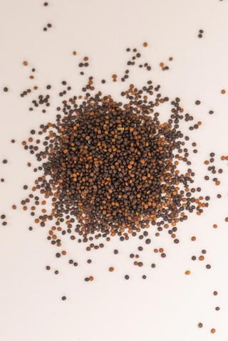 Thyme seeds