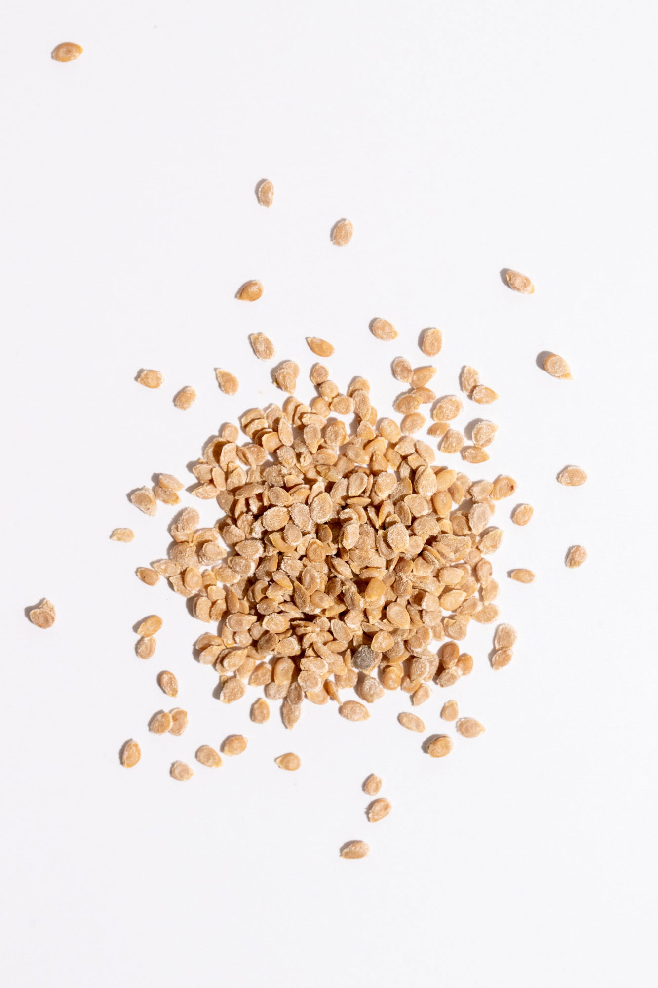 Rio grande tomato seeds