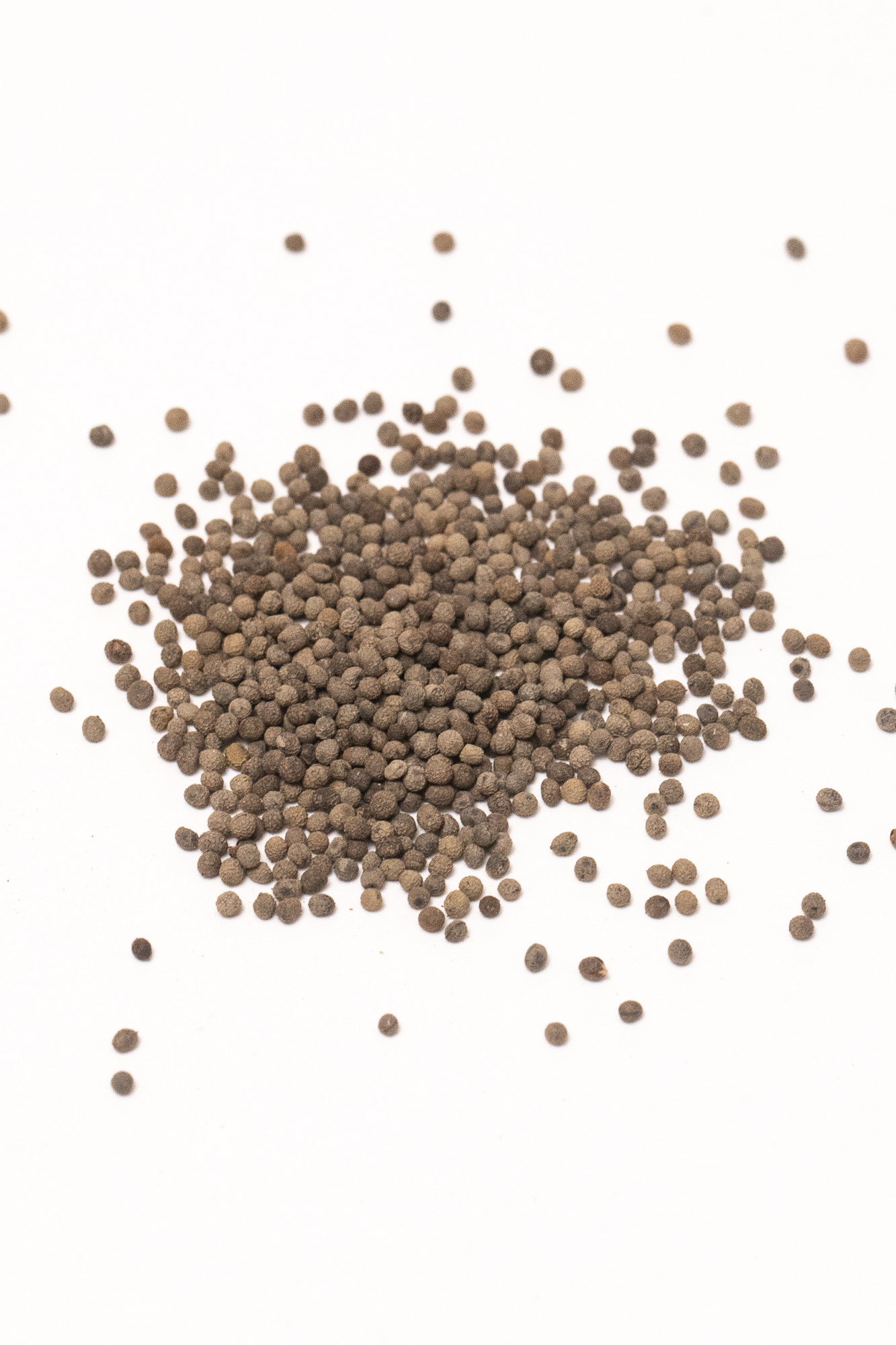 California poppy seeds