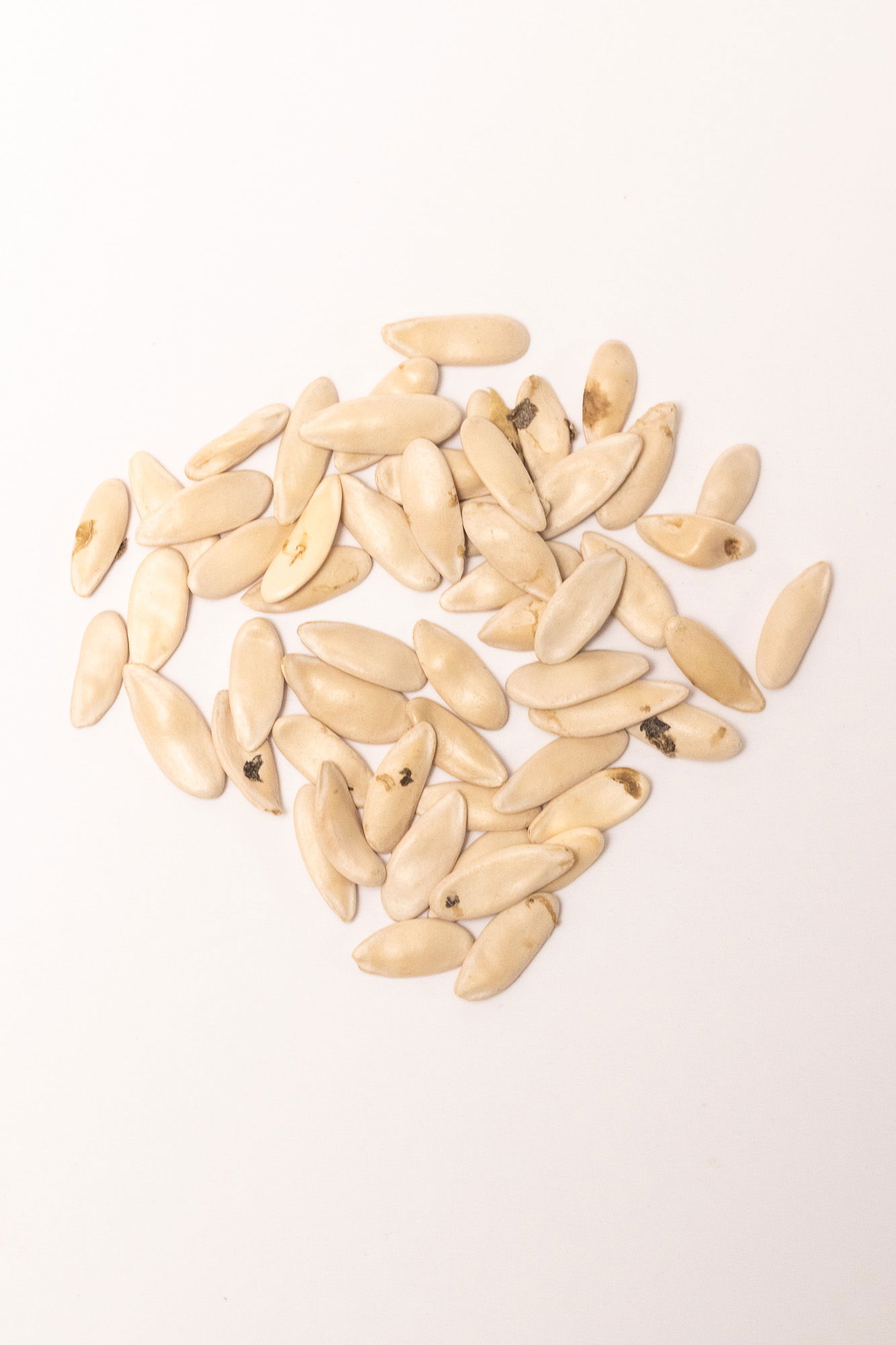 Kheera, yardlong cucumber, seeds