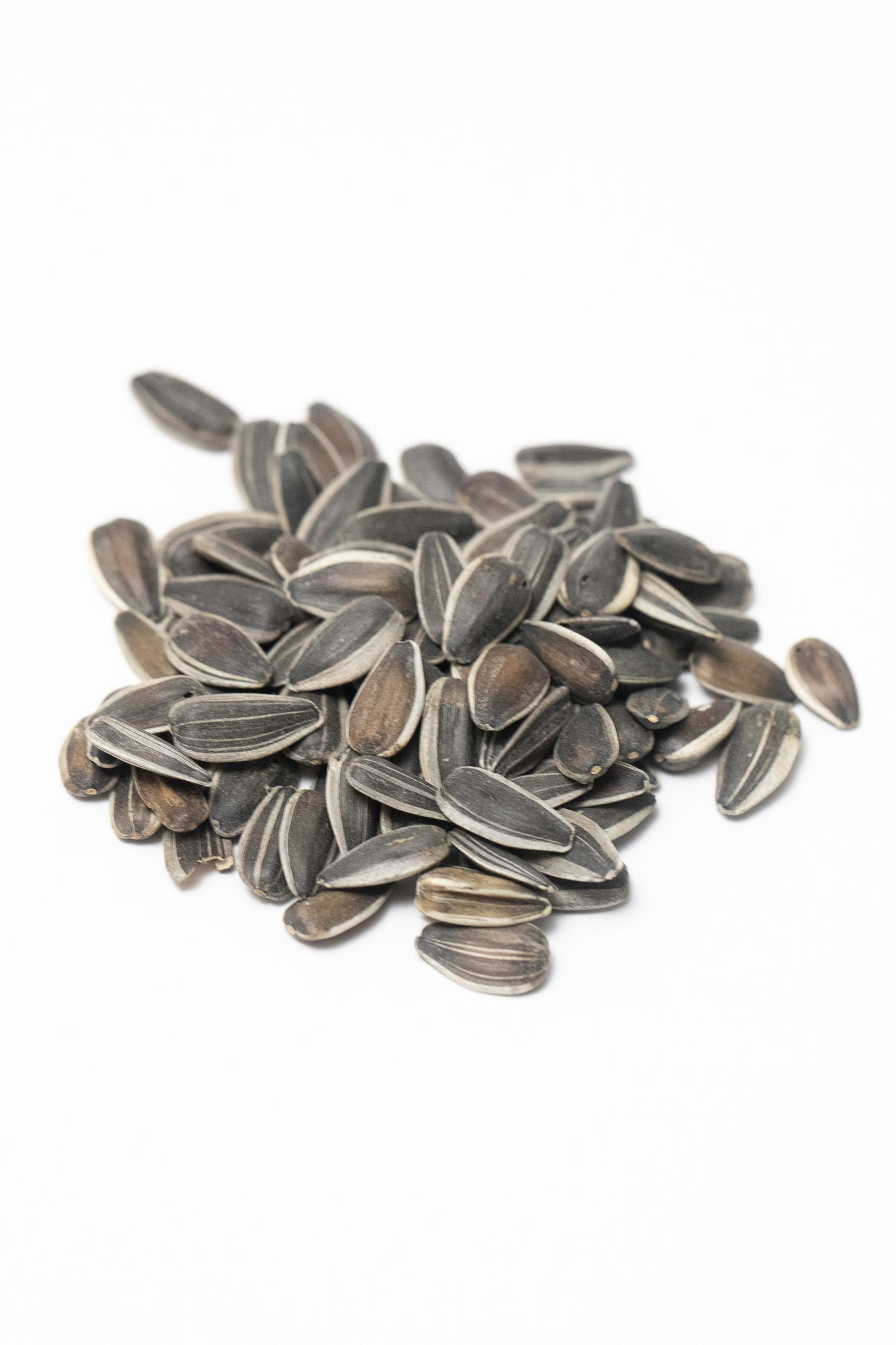 Sunflower seeds (mammoth grey)