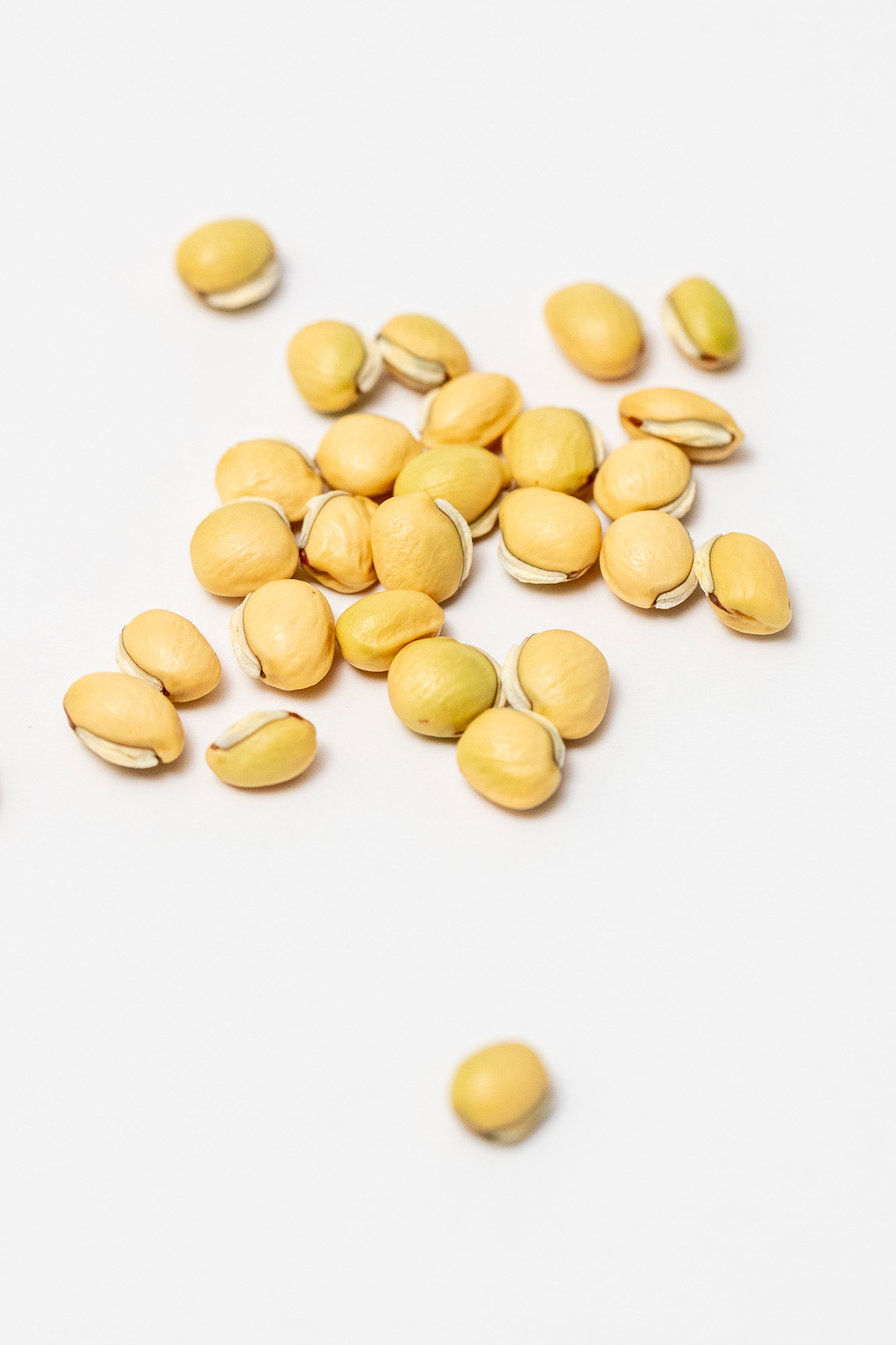 Val Papdi, chandni, seeds