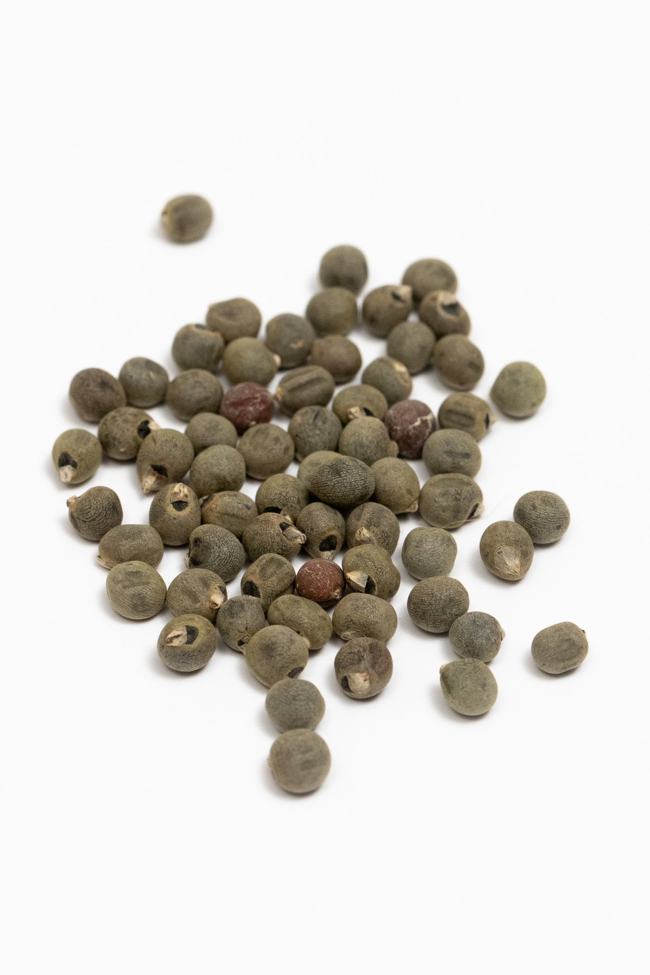 Okra (Bhindi) - Red Burgundy