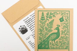 Marigold Nematoe Control seed packet